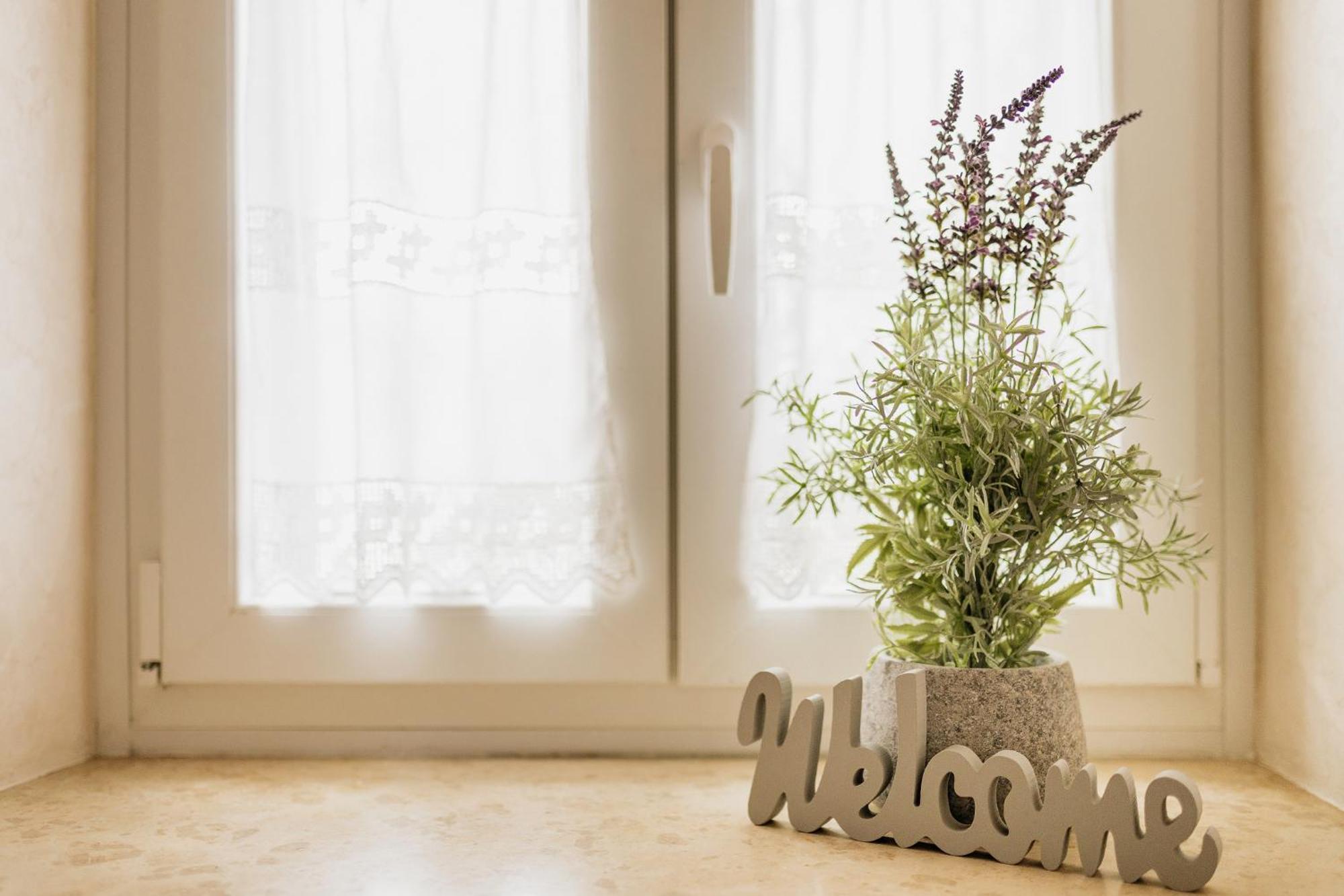 Apartments Mirna Stress Free Babici 外观 照片